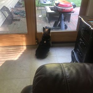 Meet your Posher, Ana